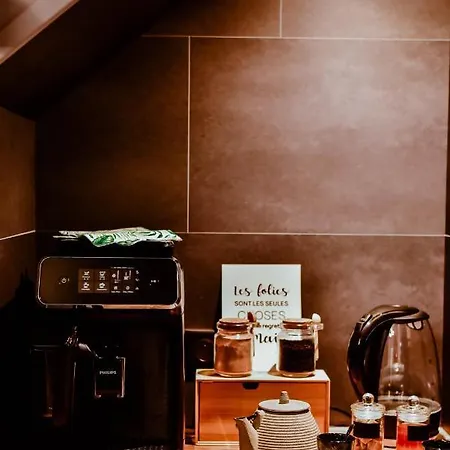 Domaine De L'angelique - Loft Avec Privatif - Marais Poitevin Entre Niort Et La Rochelle Ferienhaus *