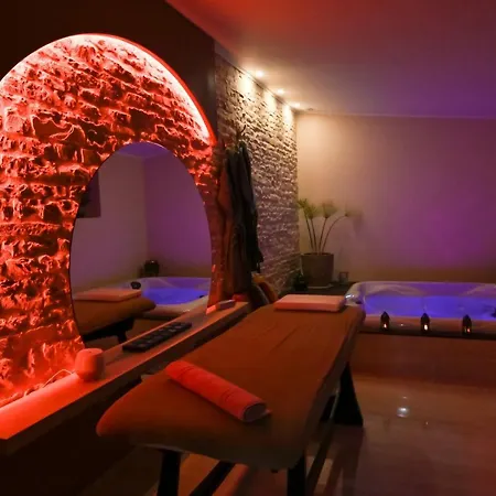 Loft Echappee Belle Avec Spa - Marais Poitevin Entre Niort Et La Rochelle * Arçais